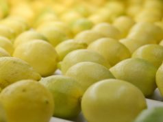 Exportaciones: el sector frutícola gana mercados y valor agregado