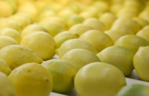 Argentina logra mejoras en el acceso de cítricos a Japón