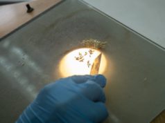 El Inase introduce cambios para agilizar decisiones y trámites