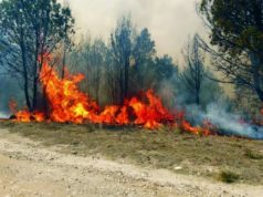 Denuncia de los trabajadores de Seabord