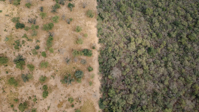 TNC GRAN CHACO ARGENTINA-38 (1)