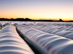 Más del 40 % de la producción nacional se conserva en silobolsas