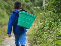 Renatre y OIT refuerzan la prevención del trabajo infantil