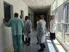 Argentina asesoró a Qatar en sanidad y reproducción equina