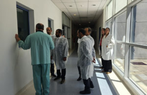 Argentina asesoró a Qatar en sanidad y reproducción equina