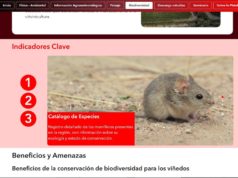Nueva capa de información ambiental para el vino argentino