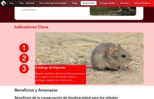 Nueva capa de información ambiental para el vino argentino