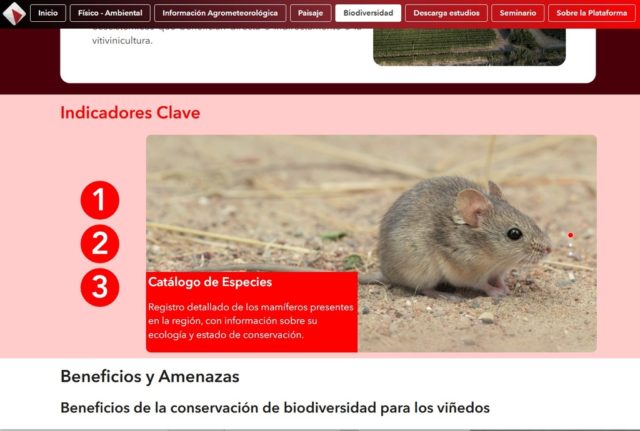 Biodiversidad-sitio-web (1)