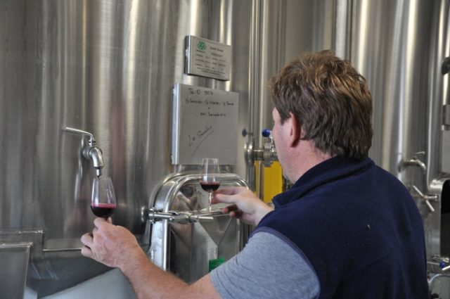 Cafayate marzo vendimia 2017 (188)