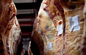 Cayó la producción frigorífica