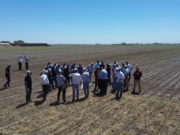 Red de productores promueve un modelo agropecuario sustentable