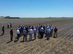 Red de productores promueve un modelo agropecuario sustentable