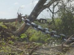 Europa posterga otra vez el Reglamento contra la Deforestación