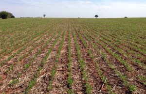 Excesos hídricos demoran la siembra