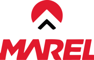 Amarela presenta los vehículos oficiales de “La génesis del vino” 🔊