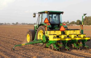 Arranca la siembra de maíz tardío