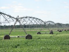 La superficie bajo riego creció 63 mil hectáreas en dos años