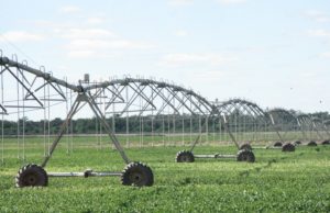 La superficie bajo riego creció 63 mil hectáreas en dos años