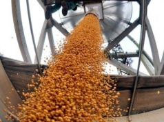 Las finanzas, el agro y la minería sostienen la economía argentina