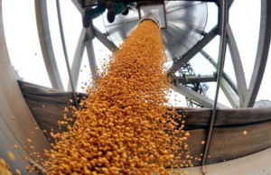 Las finanzas, el agro y la minería sostienen la economía argentina