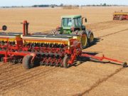 Comenzó la siembra de soja de segunda