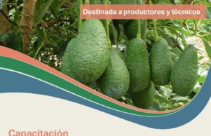 Jornada clave para el avance de la palticultura del NOA