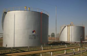 Bioetanol: autorizan la comercialización de una levadura GM