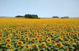 ADBlik reúne a sus líderes en una charla abierta
