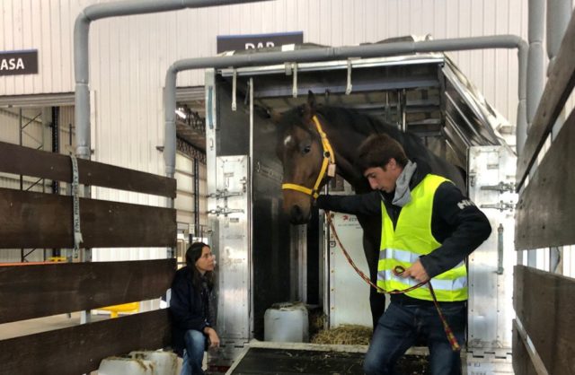 equinos noviembre 2025