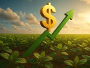 ¿Vuelve el viento de cola?