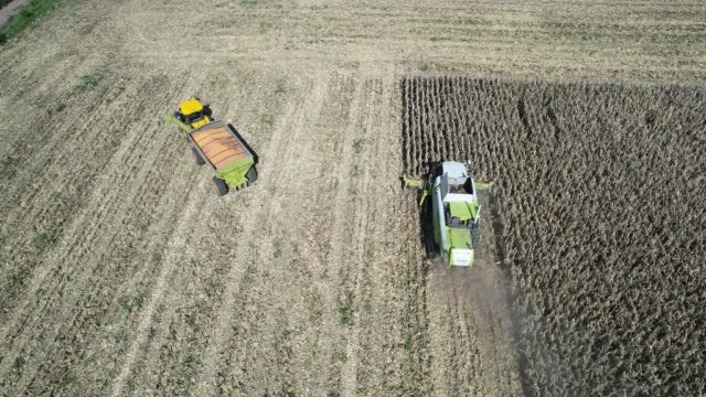 nidera maiz noviembre 2025 1