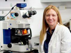 Desarrollan método para que las plantas resistan al calor