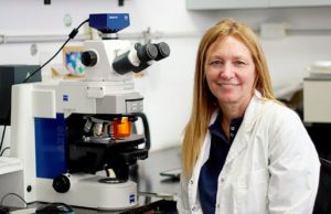 Desarrollan método para que las plantas resistan al calor