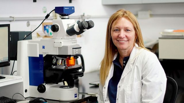 premio loreal conicet