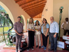 Langostas: Senasa y FAO reforzaron la cooperación en el control