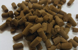 Presentan un pellet biofertilizante que mejora la estructura del suelo