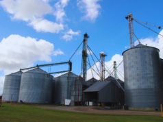 Del lote al silo: cómo reducir los riesgos del commingling