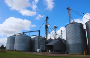 Del lote al silo: cómo reducir los riesgos del commingling