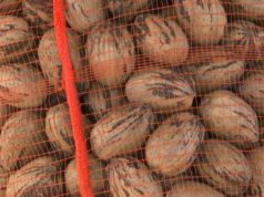 Argentina inició sus exportaciones de pecán a China