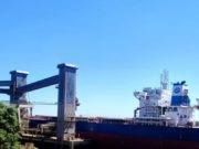 El trigo argentino comenzó a llegar al mercado chino