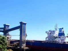 El trigo argentino comenzó a llegar al mercado chino