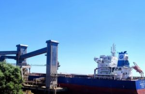 El trigo argentino comenzó a llegar al mercado chino