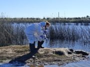 Nuevas acciones para prevenir brotes de influenza aviar