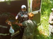 Senasa decomisó una tonelada de frutas sin documentación