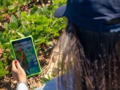 Syngenta abre Cropwise para potenciar nuevas aplicaciones