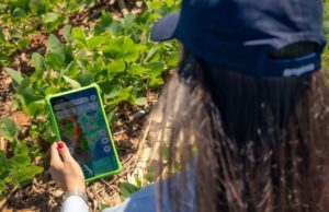 Syngenta abre Cropwise para potenciar nuevas aplicaciones