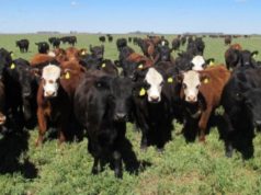 Fuerte suba de la hacienda