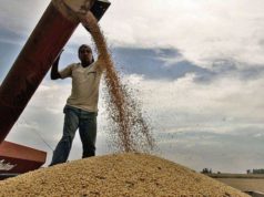 El campo ya liquidó 30 mil millones de dólares
