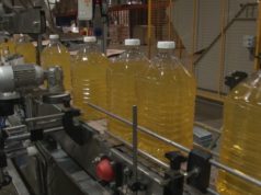 El complejo girasolero mostró su mejor desempeño en años