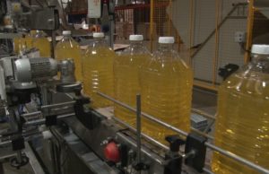 El complejo girasolero mostró su mejor desempeño en años